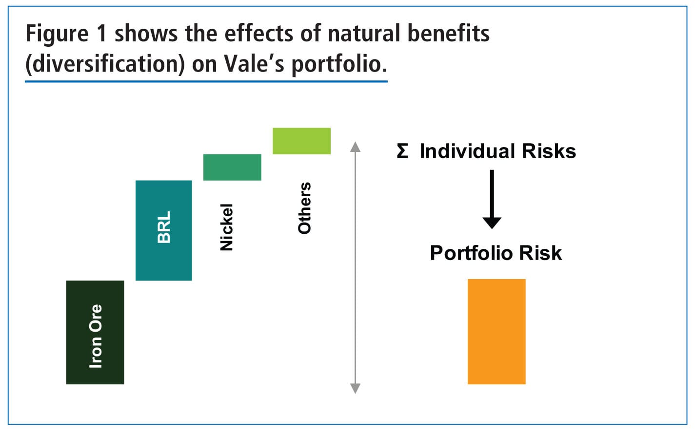 Risk Management at Vale