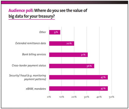 Big Data: Addressing the Corporate Treasury Data Challenge