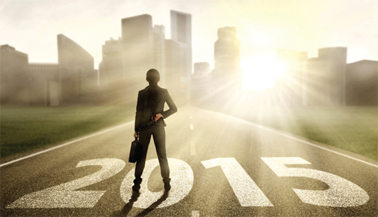 Companies Look to 2015 with Cautious Optimism