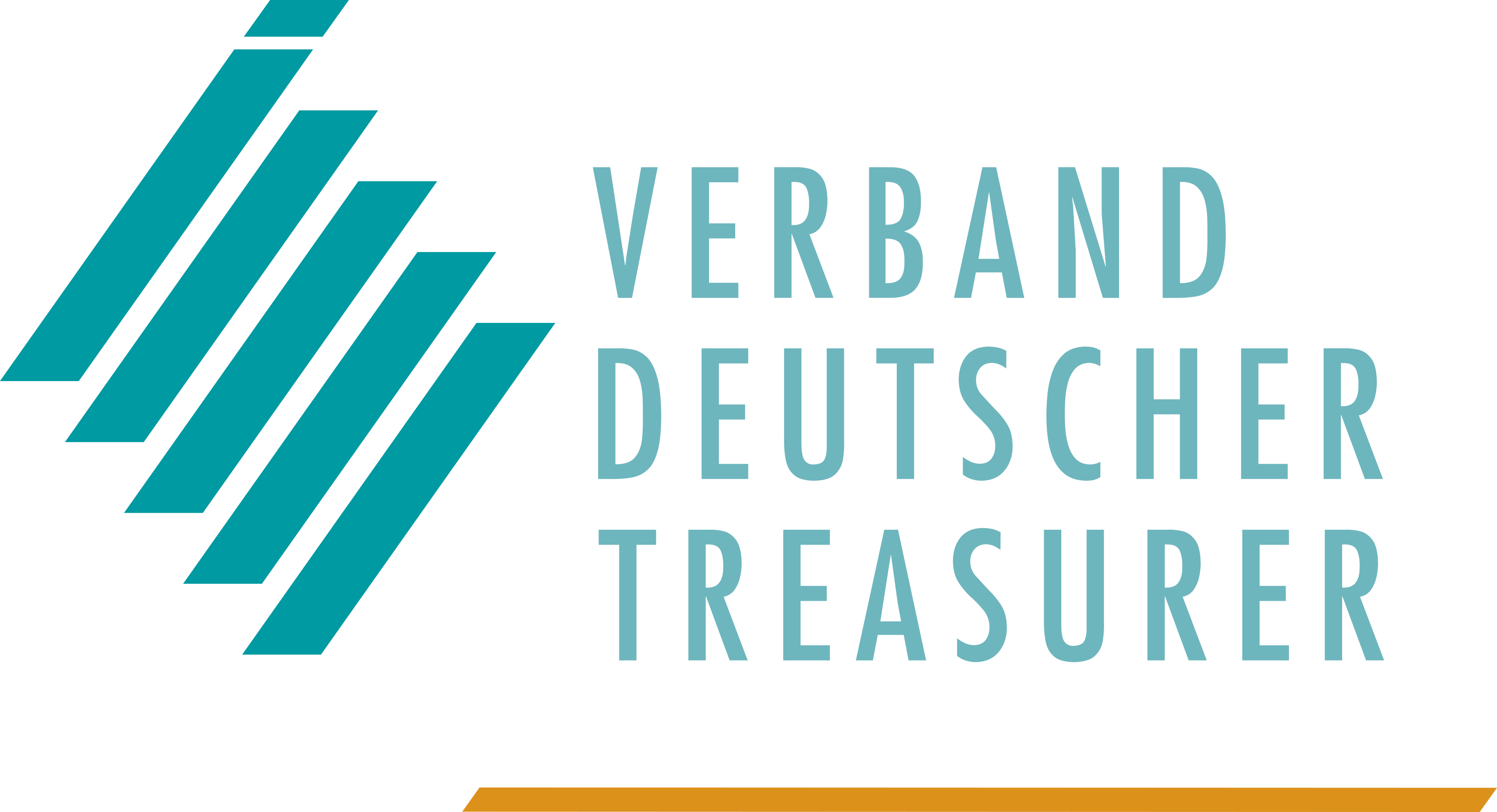 Verband Deutscher Treasurer (VDT)