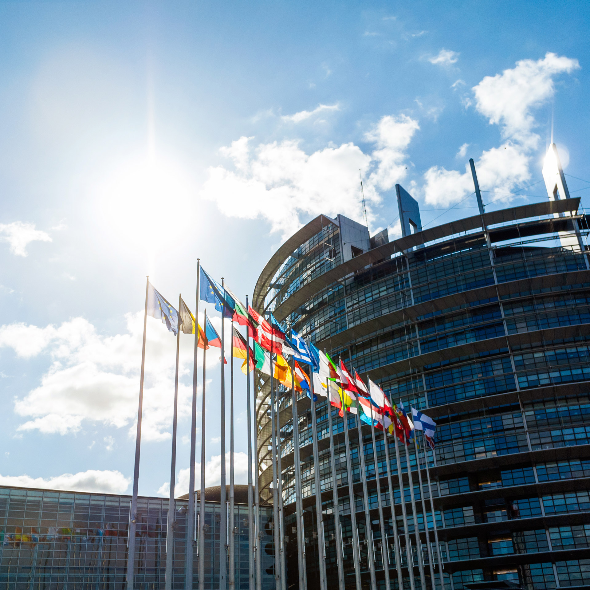 Regulatory Round-up with the EACT