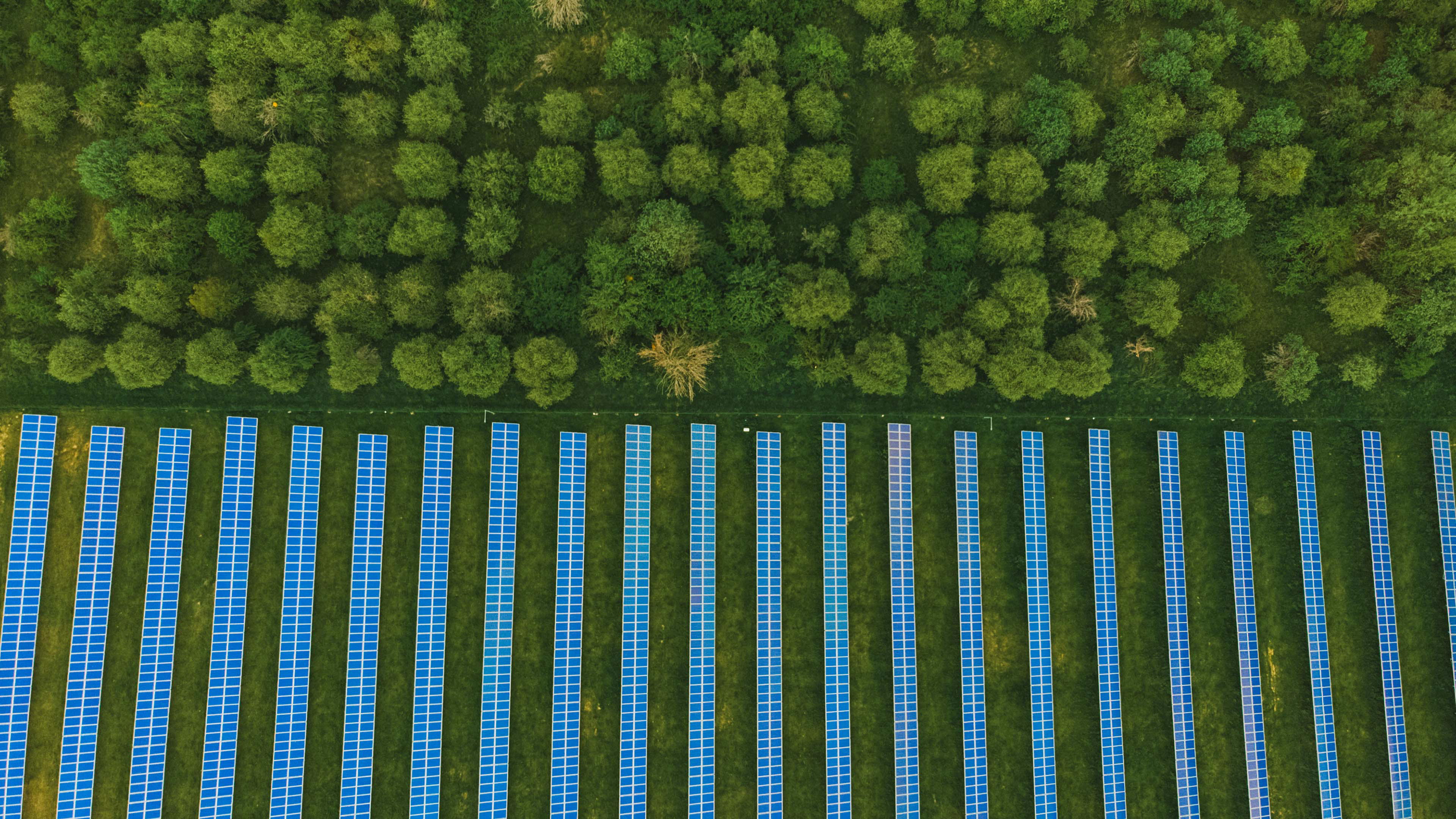 Financing the Transition to a Sustainable and Profitable Future