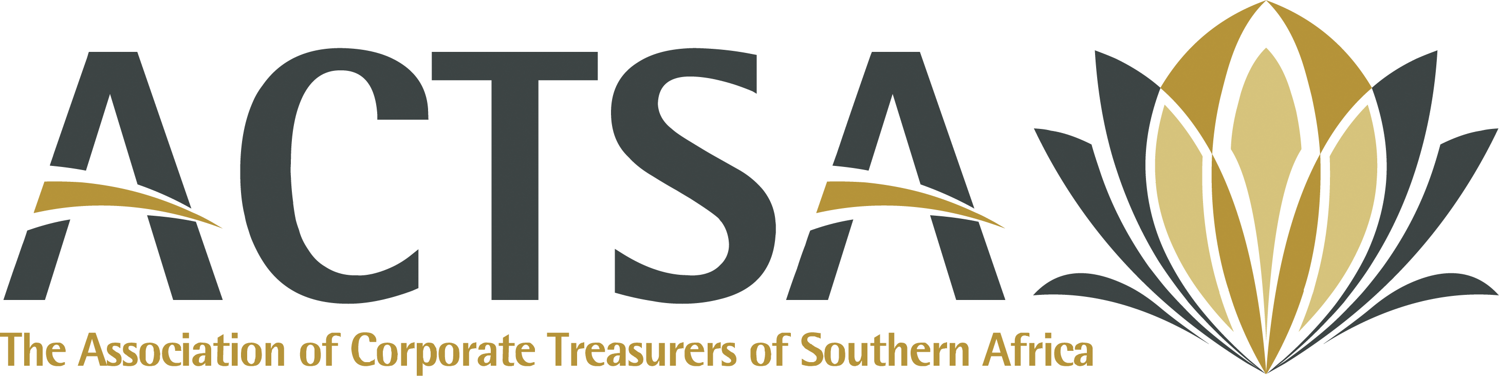 Association of Corporate Treasurers of Southern Africa (ACTSA)